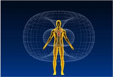 Drawing of Human Body's Chakra System|Energy Healing